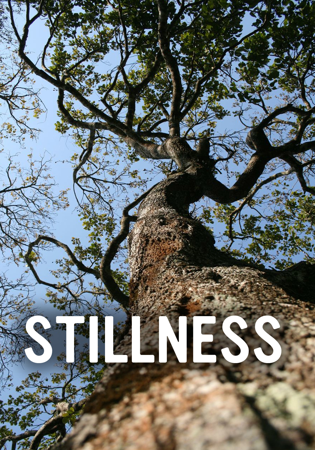 Stillness is a Virtue